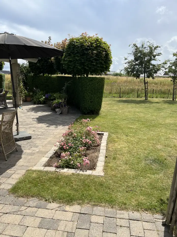 Velholdt have med terrasse, blomsterbed og klippet hæk